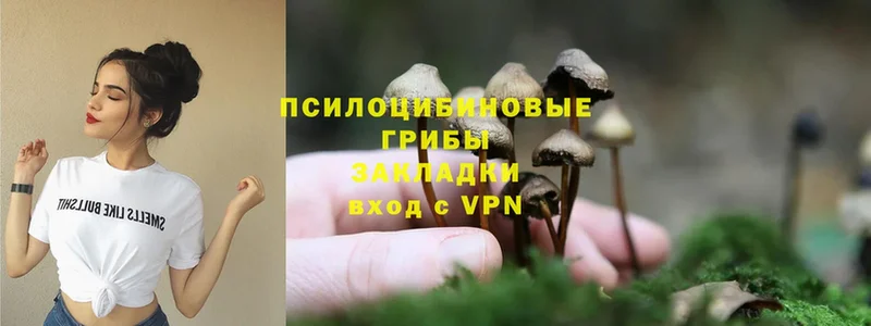 Псилоцибиновые грибы MAGIC MUSHROOMS  где найти наркотики  Малоярославец 